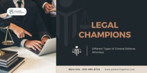 Types of Criminal Defense Attorneys